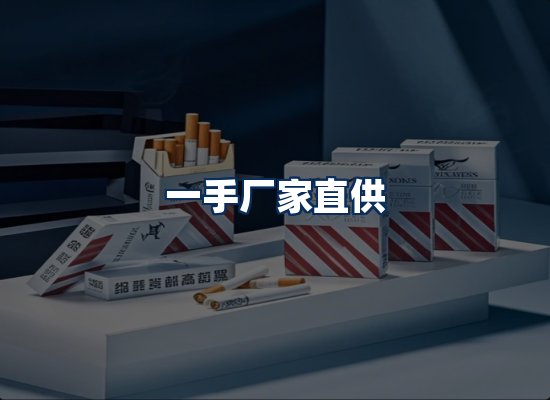 专业团队办公环境